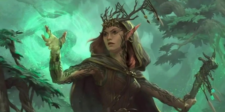An entry image showing the Half-Elf race for Druids in DnD 5e