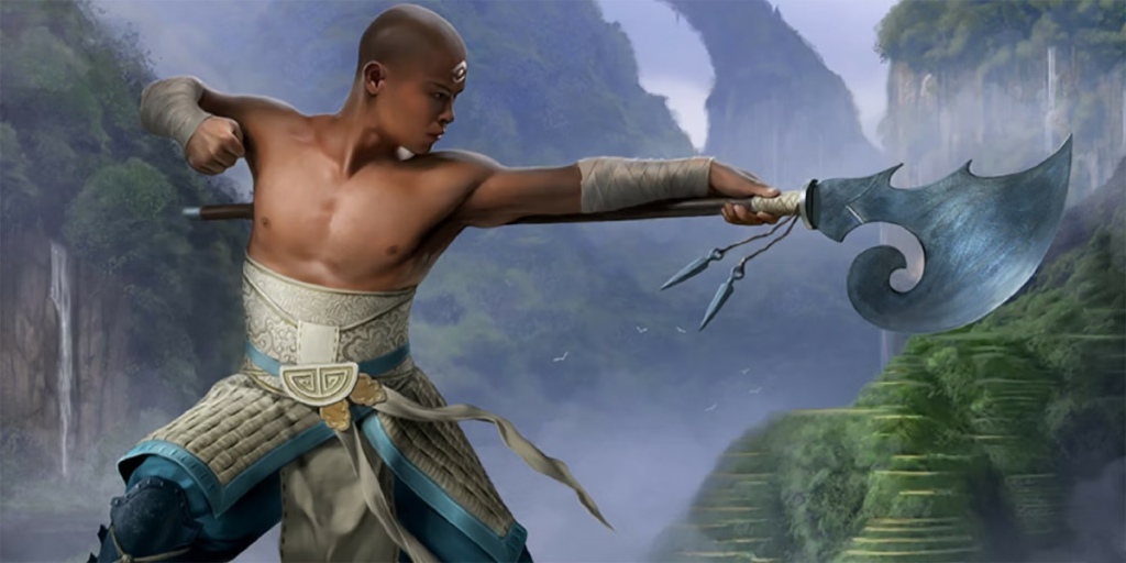 An entry image showing a Human Monk in DnD 5e