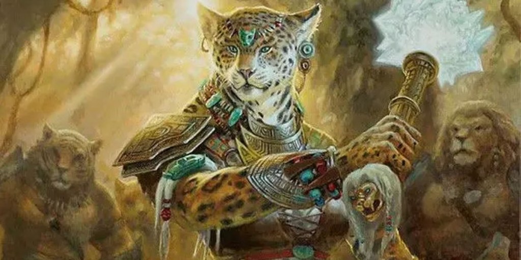 An entry image showing a Tabaxi movement speed build in DnD 5e