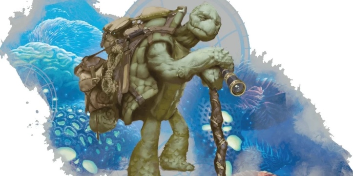 An entry image showing the Tortle race for a Druid in DnD 5e